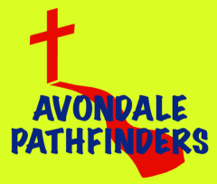 scout camping campfire youth